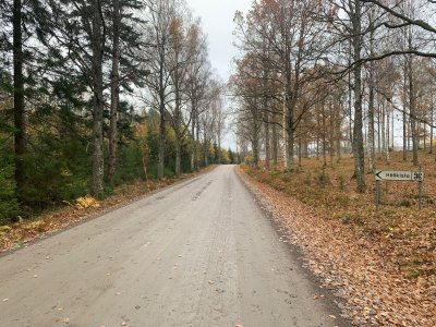 Höstfärd till Ånimskogs hällkista
