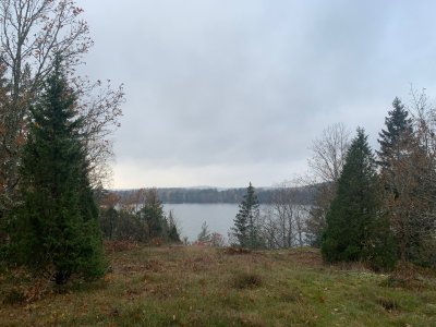 Utsikt från graven